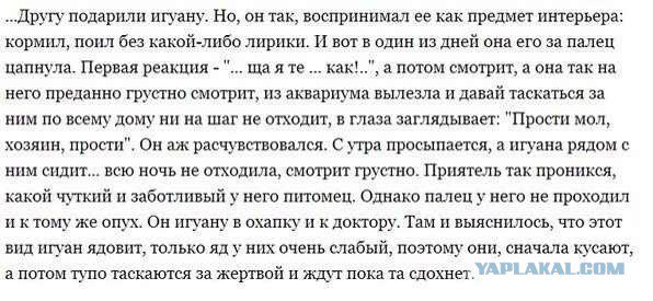 Жиденькая подборка вяло-прикольных картинок №3