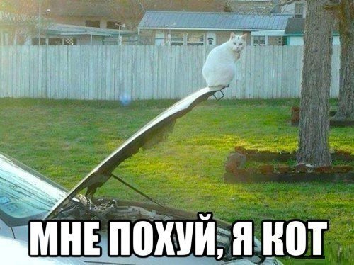 Жиденькая подборка вяло-прикольных картинок №3