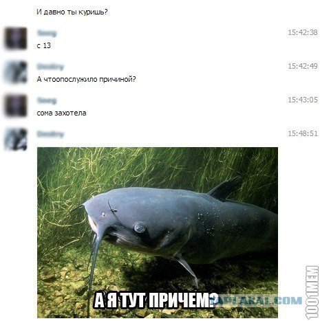 Жиденькая подборка вяло-прикольных картинок №4