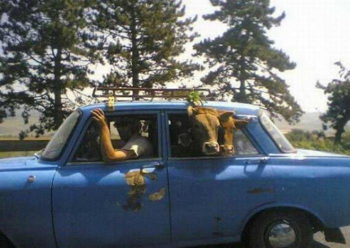 Только в России