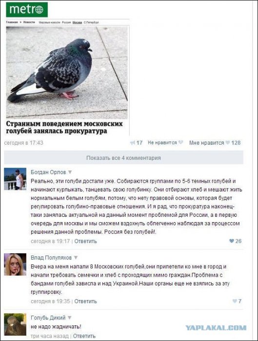 Жиденькая подборка вяло-прикольных картинок №5