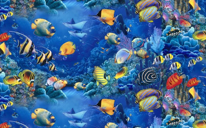 Обои на рабочий стол /Best HD Wallpapers Pack 1163