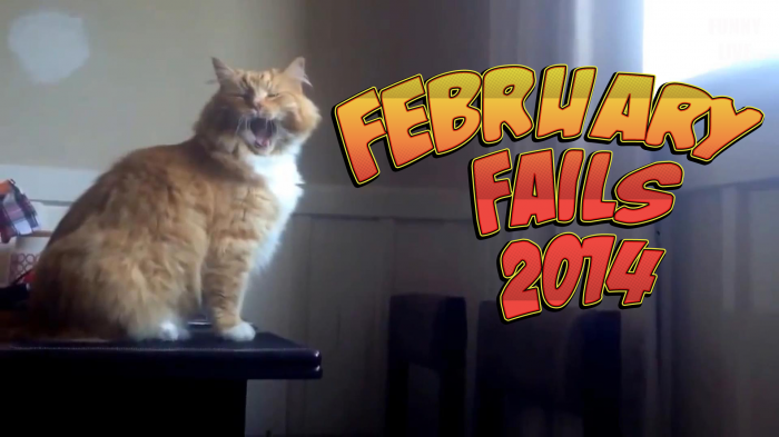 Лучшие фэйлы Февраль 2014 #2