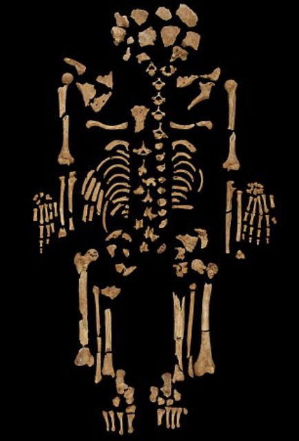 В Судане найден 3000-летний скелет со следами раковой опухоли