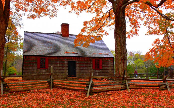 Обои на рабочий стол / Sbornik oboev 264