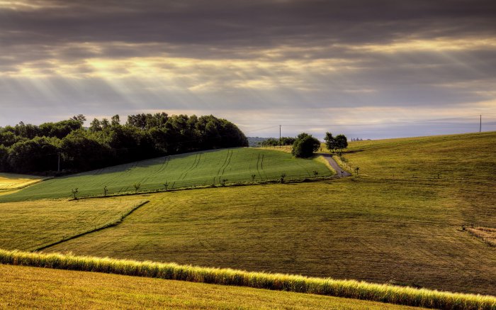 Обои на рабочий стол / Sbornik oboev 264