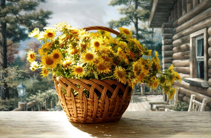 Обои на рабочий стол / HQ Wallpapers Beautiful Flowers