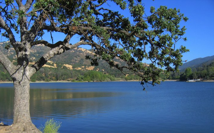 Обои на рабочий стол / Beautiful Nature Wallpapers 64