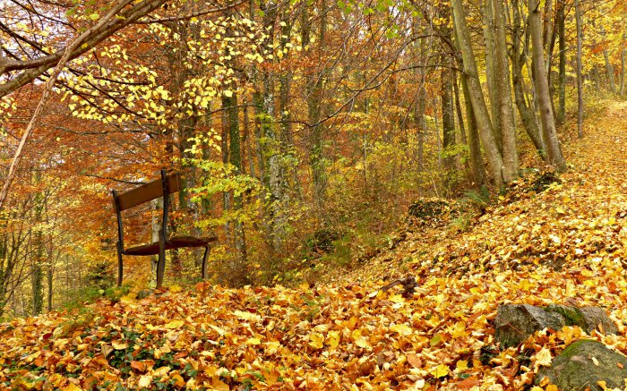 Обои на рабочий стол / Beautiful Nature Wallpapers 64