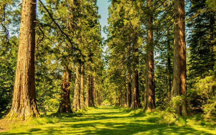 Обои на рабочий стол / Beautiful Nature Wallpapers 64