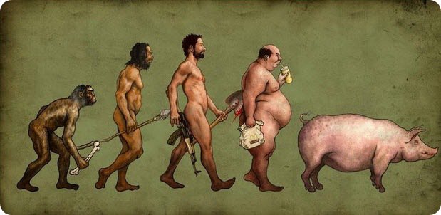 Загадка "морских пришельцев": американские ученые опровергли теорию эволюции