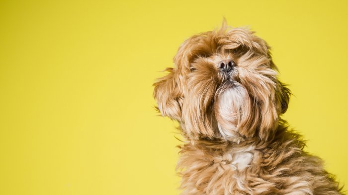 Обои на рабочий стол / HD Computer Wallpaper 51