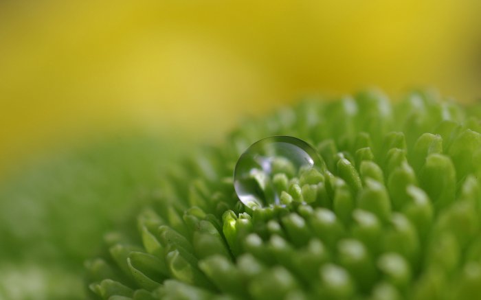 Обои на рабочий стол / Sbornik oboev 327