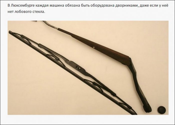 Самые нелепые правила дорожного движения из разных стран (19 фото)