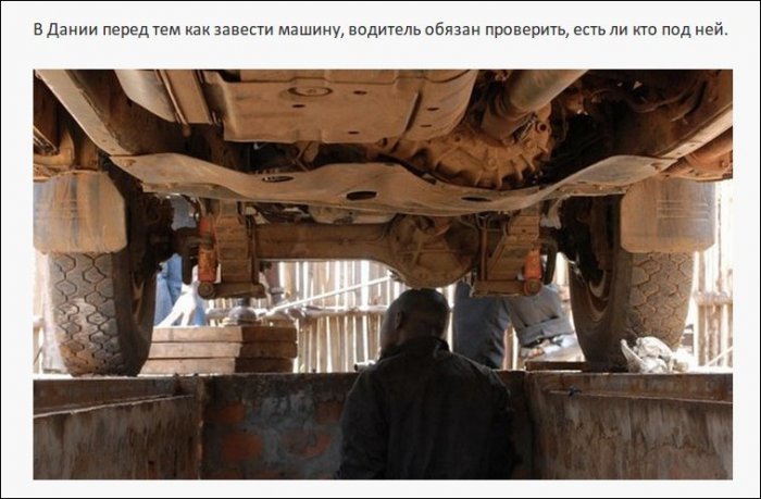 Самые нелепые правила дорожного движения из разных стран (19 фото)