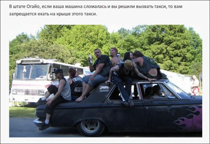 Самые нелепые правила дорожного движения из разных стран (19 фото)