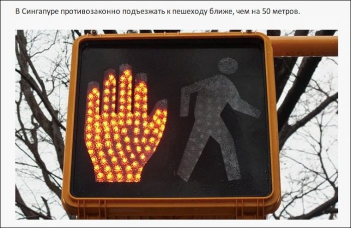 Самые нелепые правила дорожного движения из разных стран (19 фото)