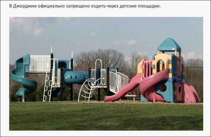 Самые нелепые правила дорожного движения из разных стран (19 фото)