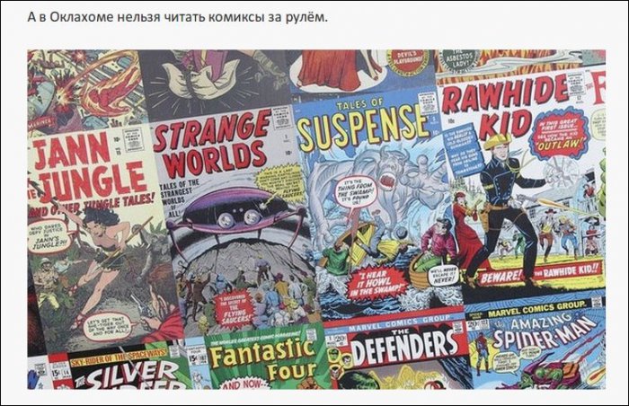 Самые нелепые правила дорожного движения из разных стран (19 фото)