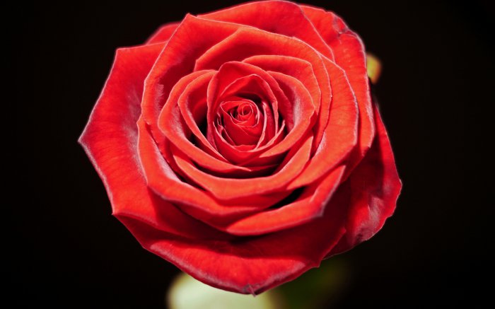 Обои на рабочий стол / Wallpapers Mix 66