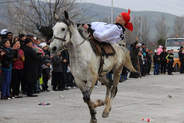 Скачки на лошадях FAIL