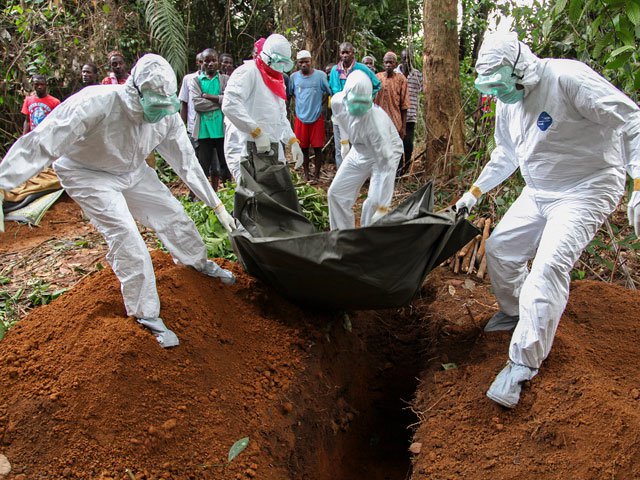 Смерть из джунглей: вирус Эбола - биологическое оружие или "утка" СМИ? Смерть из джунглей: вирус Эбола - биологическое оружие или "утка" СМИ?