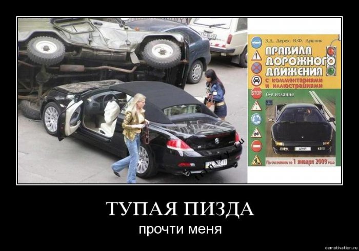 В Новой Зеландии впечатлительная дама, испугавшись таракана, устроила лобовое ДТП, в котором пострадали два человека