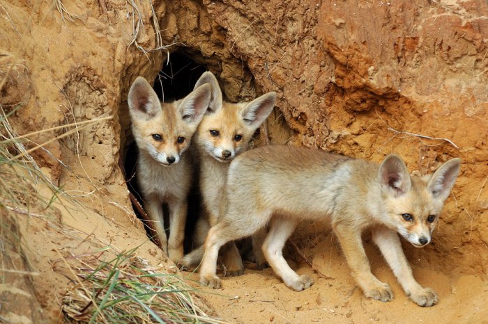 картинки mix