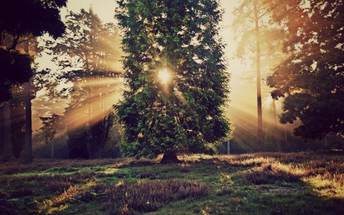 Обои на рабочий стол / HD Wallpapers Pack 192