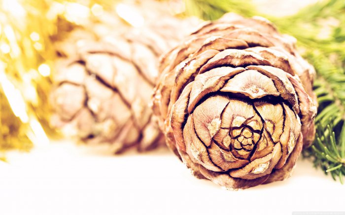 Обои на рабочий стол / HD Wallpapers Pack 192