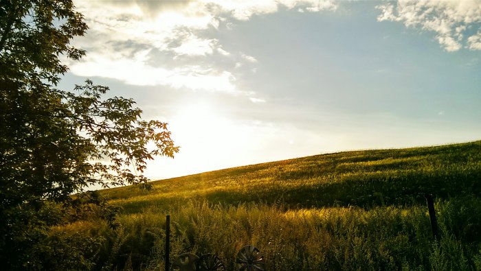 Фотографии с телефона (68 фото)