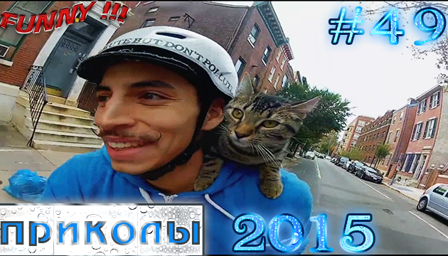 Отборные приколы (#49)