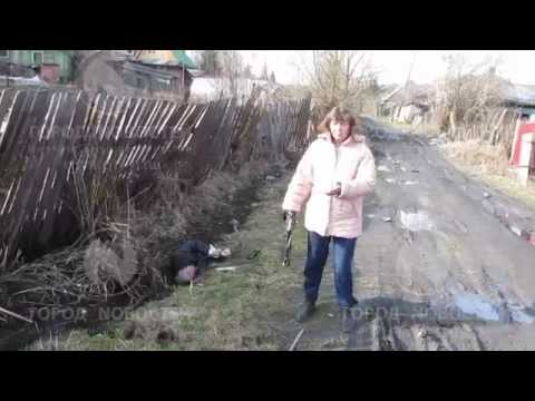 Этот этот... Петька!