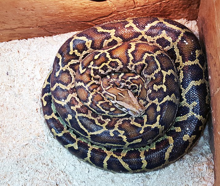 В Красноярске работает уникальная выставка известного коллекционера-биолога