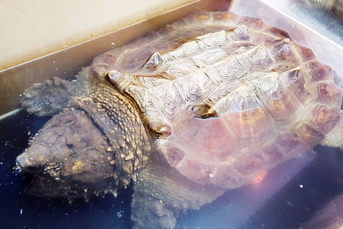 В Красноярске работает уникальная выставка известного коллекционера-биолога