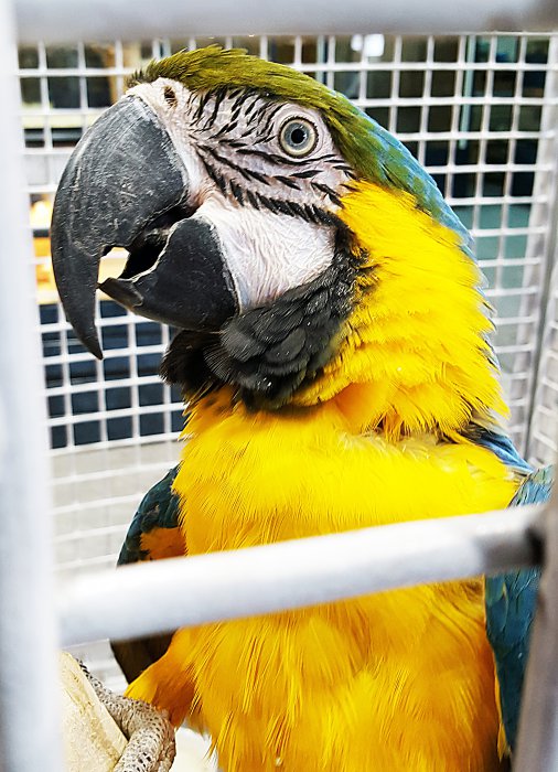 В Красноярске работает уникальная выставка известного коллекционера-биолога