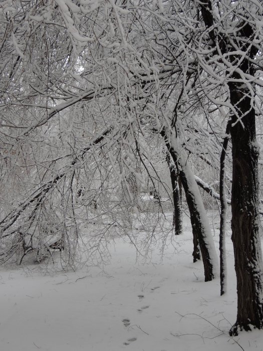 Красноярск 9-е мая