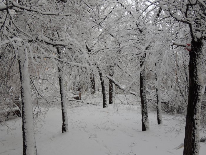 Красноярск 9-е мая