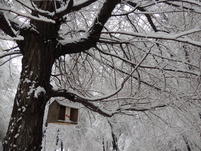 Красноярск 9-е мая