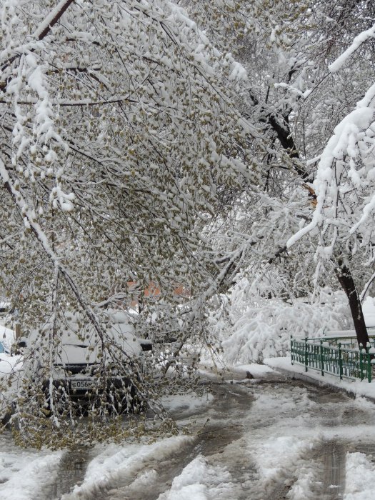 Красноярск 9-е мая