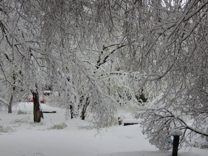 Красноярск 9-е мая