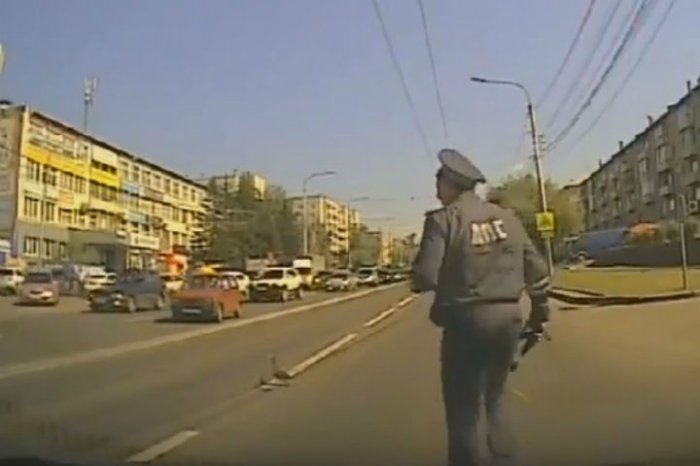 «Дядя Степа» из Красноярска перекрыл магистраль, чтобы спасти утку с утенком