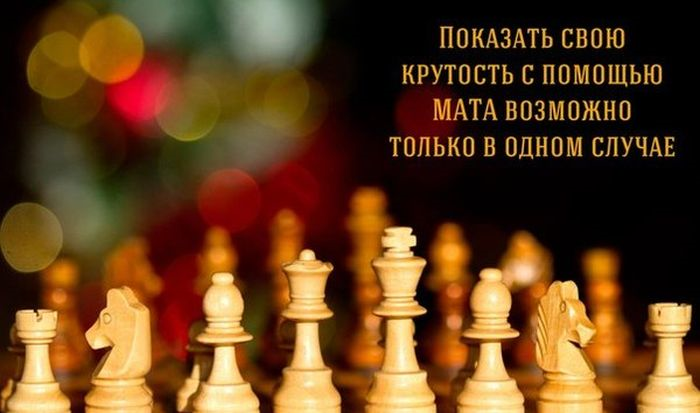 10 почти достоверных научно-преподавательских баек