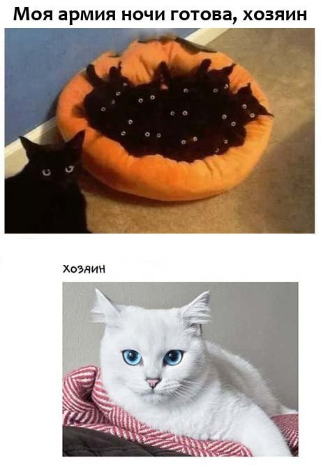 Девушки бывают