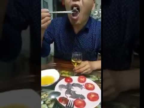 А некоторые и мышей едят!
