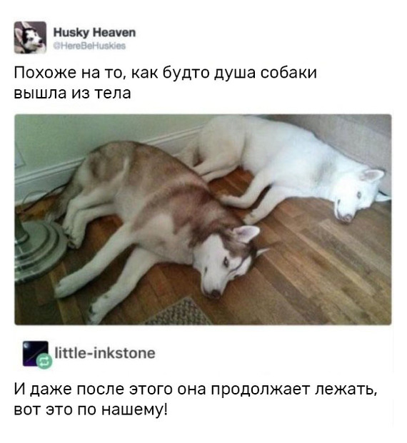Забавные картинки