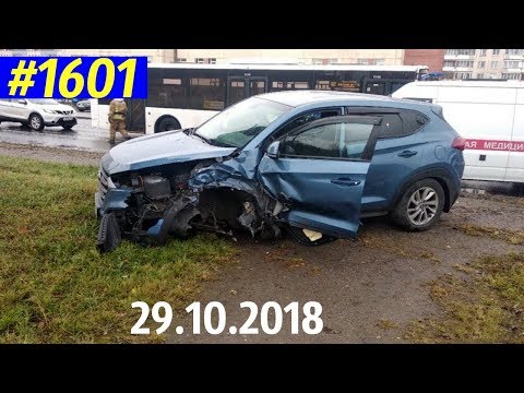 Дорожные войны №1601