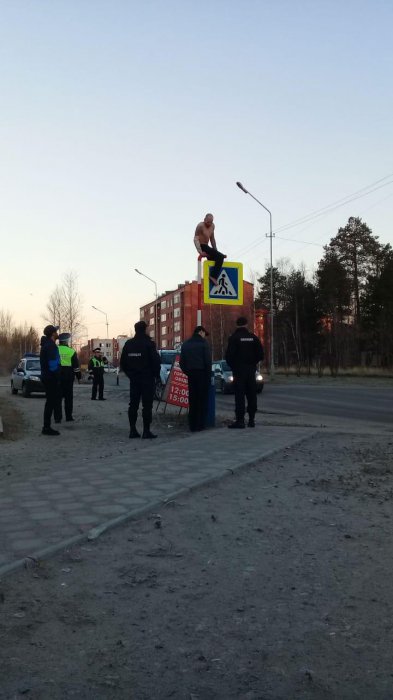 Забавные картинки
