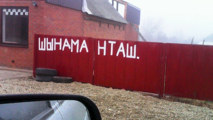 Забавные картинки