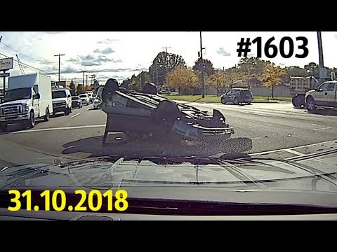 Дорожные войны №1603